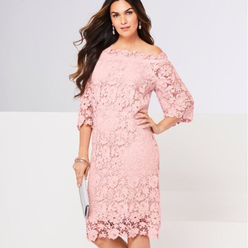 Women Plus Size Off The Shoulder Lace Dress, Pink, 22W